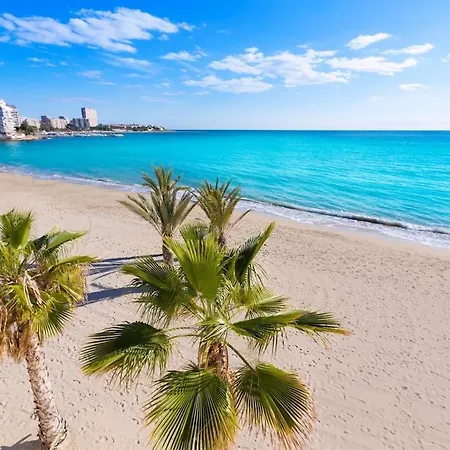 Lotus Αλικάντε